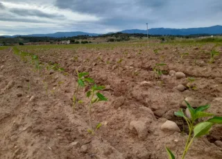 FINCA REDADIO EL MATÓN JARAÍZ