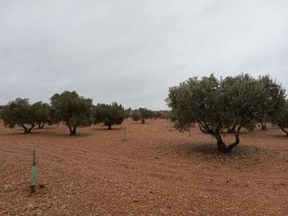 Terreno en venta en Quintanar de la Orden
