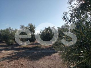 Terreno en venta en Navas de San Juan