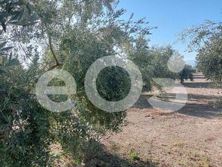 Terreno en venta en Navas de San Juan