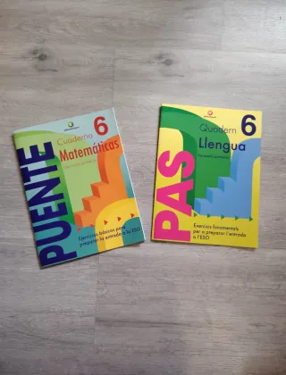 PONT LLENGUA, 6 EDUCACIO PRIMARIA VALENCIA