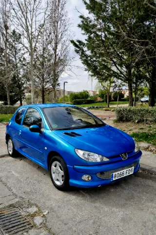 Peugeot 206 Etiqueta C