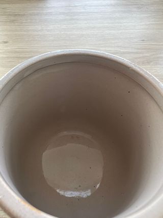 Maceta arcoíris Tiger