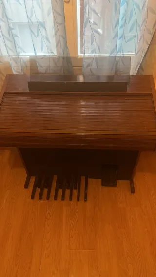 Órgano Viscount BX10 MIDI PCM