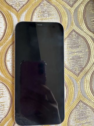 iPhone 12 Pro Max Blanco 256GB