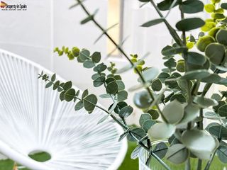 Piso en venta en Carolinas Bajas en Alicante