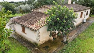 Casa rural en alquiler en Manacor Centro en Manacor