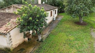 Casa rural en alquiler en Manacor Centro en Manacor