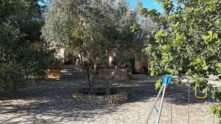 Casa rural en alquiler en Manacor Centro en Manacor