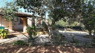 Casa rural en alquiler en Manacor Centro en Manacor