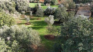 Casa rural en alquiler en Manacor Centro en Manacor
