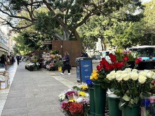 Local comercial en alquiler en Ensanche Centro - Puerto en Málaga