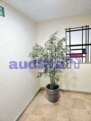 Oficina en alquiler en Los Remedios en Sevilla