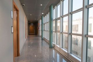 Oficina en alquiler en Ibaeta en San Sebastián-Donostia