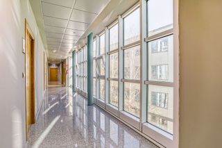 Oficina en alquiler en Ibaeta en San Sebastián-Donostia