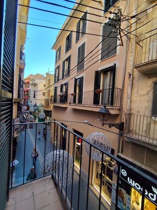Estudio en alquiler en La Seu - Cort - Monti-sión en Palma de Mallorca
