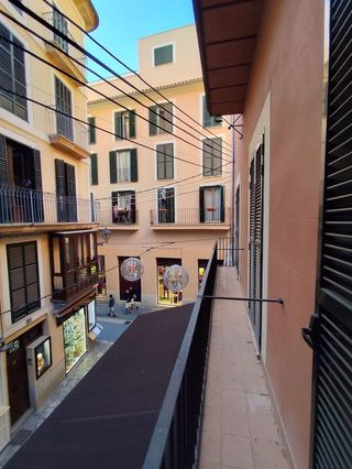 Estudio en alquiler en La Seu - Cort - Monti-sión en Palma de Mallorca