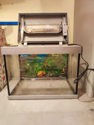 Acuario/Gambario 20L Hailea