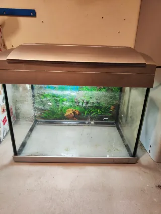 Acuario/Gambario 20L Hailea