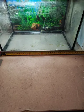 Acuario/Gambario 20L Hailea