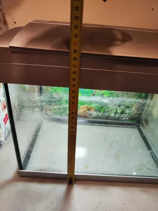 Acuario/Gambario 20L Hailea