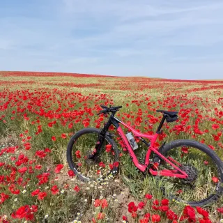 Orbea Oiz M30 Bicicleta Montaña