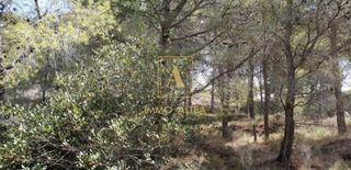 Terreno en venta en Callosa d´En Sarrià