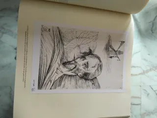 Facsímil Quijote ilustraciones Salvador Dalí