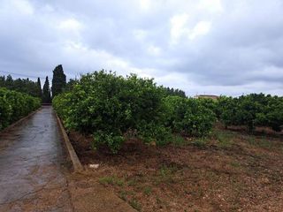 Terreno en venta en Costa Norte en Vinaròs