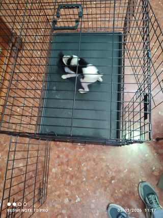 Jaula para animales Feandrea 105x70x76