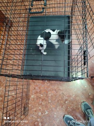 Jaula para animales Feandrea 105x70x76