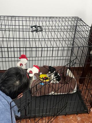 Jaula para animales Feandrea 105x70x76