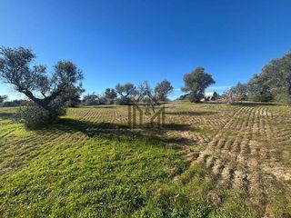 Solar en venta en Centro en Cáceres