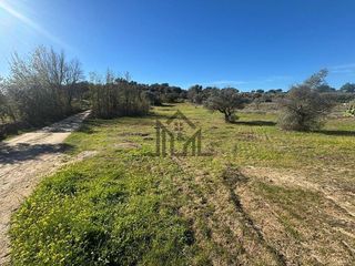 Solar en venta en Centro en Cáceres