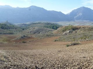 Terreno en venta en Zona de Cueva de Menga en Antequera
