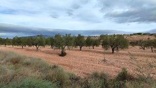 Terreno en venta en Monóvar/Monòver