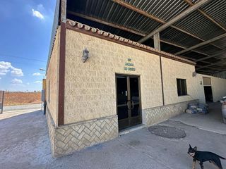 Chalet en venta en Torreblanca en Sevilla