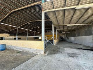 Chalet en venta en Torreblanca en Sevilla