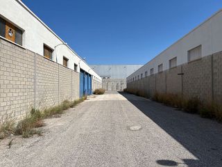 Nave industrial en alquiler en Palmeral - Urbanova  - Tabarca en Alicante