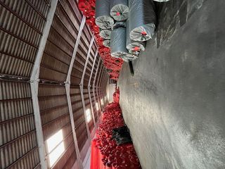 Nave industrial en alquiler en Palmeral - Urbanova  - Tabarca en Alicante