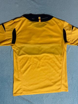 Camiseta España Campeones Europa 2008