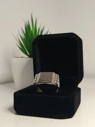 Anillo Sello Hombre plata de ley 21,4mm/T.61