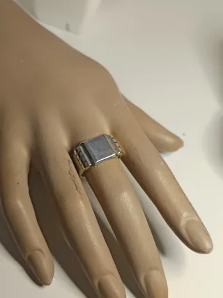 Anillo Sello Hombre plata de ley 21,4mm/T.61