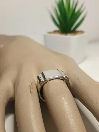 Anillo Sello Hombre plata de ley 21,4mm/T.61