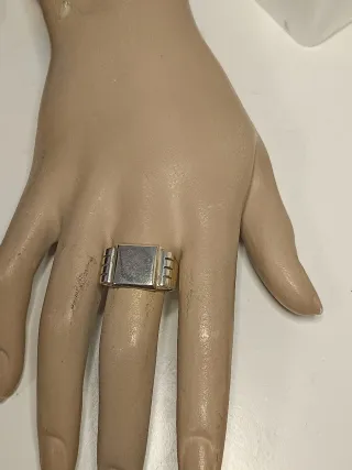 Anillo Sello Hombre plata de ley 21,4mm/T.61