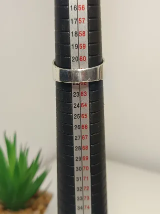 Anillo Sello Hombre plata de ley 21,4mm/T.61