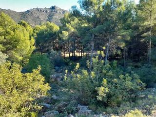 Solar en venta en Montornés - Las Palmas - El Refugio en Benicasim/Benicàssim