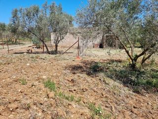 Solar en venta en Ronda