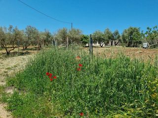 Solar en venta en Ronda