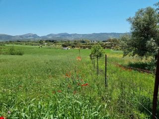 Solar en venta en Ronda